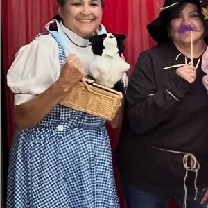 Classic Dorothy Wizard of Oz Costume Set Size 14